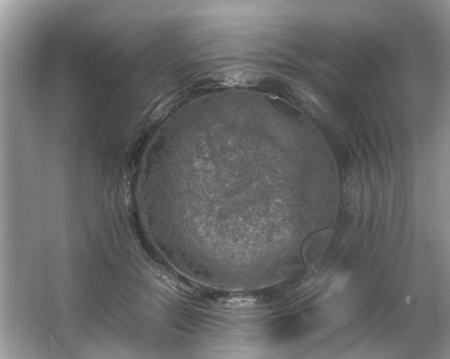 X0000063460554200601231421