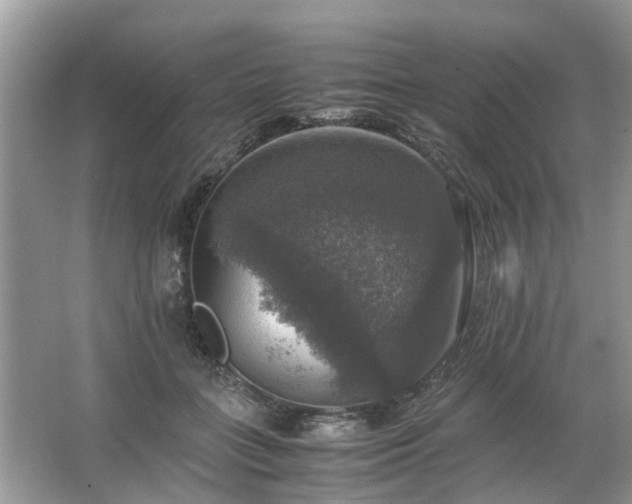 X0000063460555200601231421