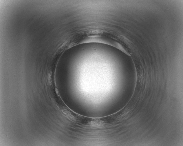 X0000063460556200601231421