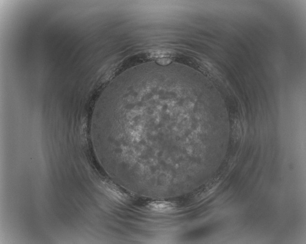 X0000063460557200601231421