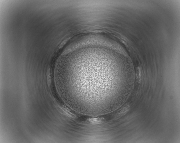 X0000063460558200601231421