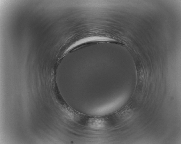 X0000063460559200601231421