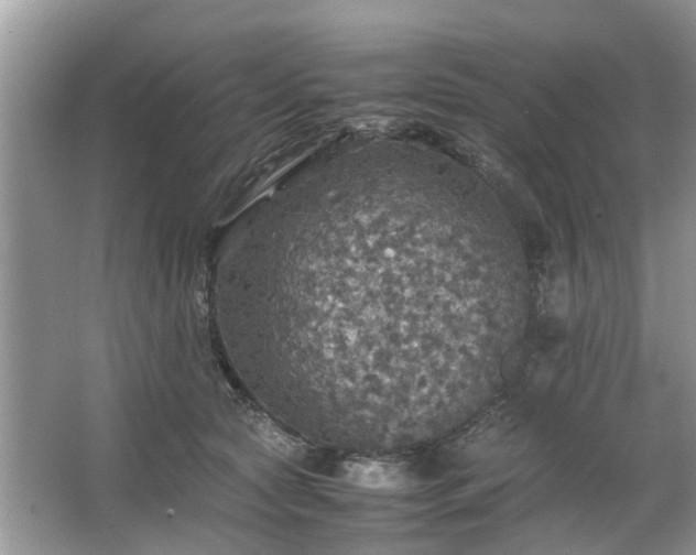 X0000063460561200601231421