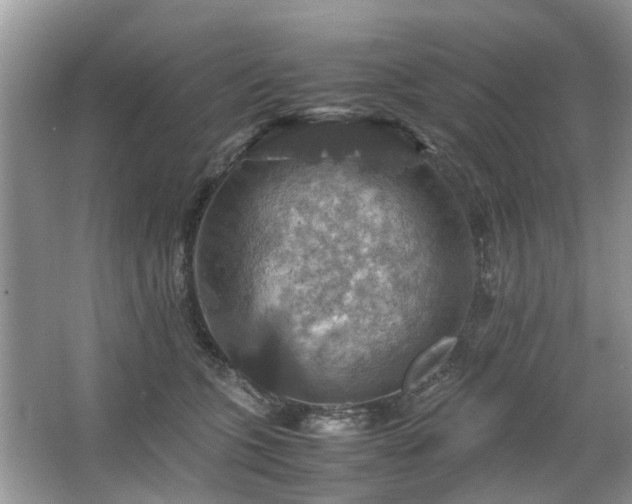 X0000063460563200601231421