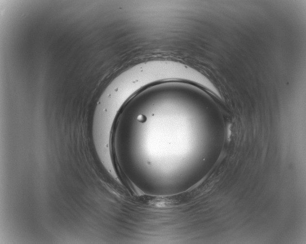 X0000063460564200601231421