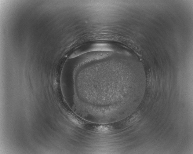 X0000063460566200601231421