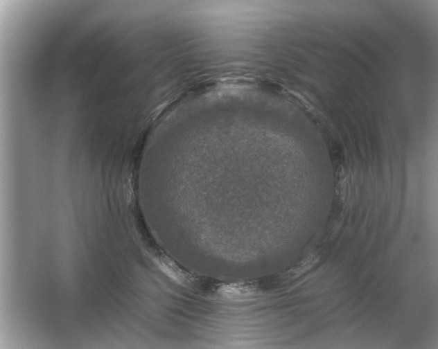 X0000063460568200601231421