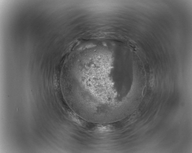 X0000063460569200601231421