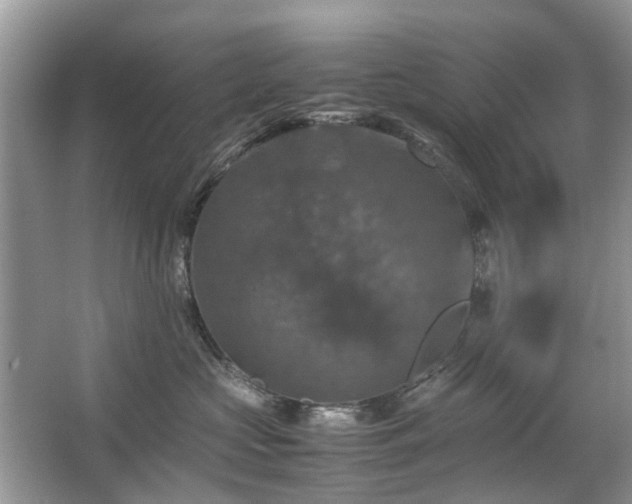 X0000063460573200601231421