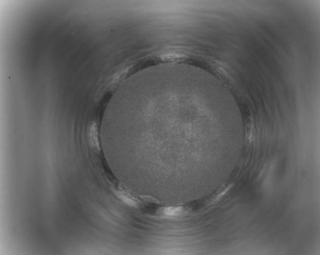 X0000063460575200601231421