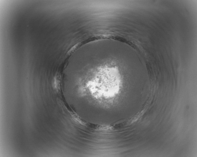 X0000063460576200601231421