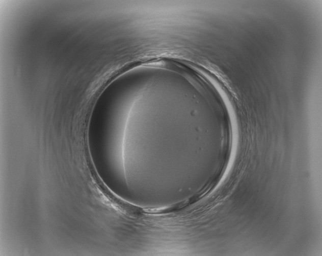 X0000063460577200601231420