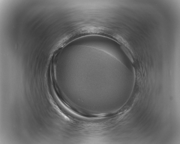 X0000063460581200601231420