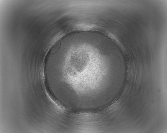 X0000063460582200601231420