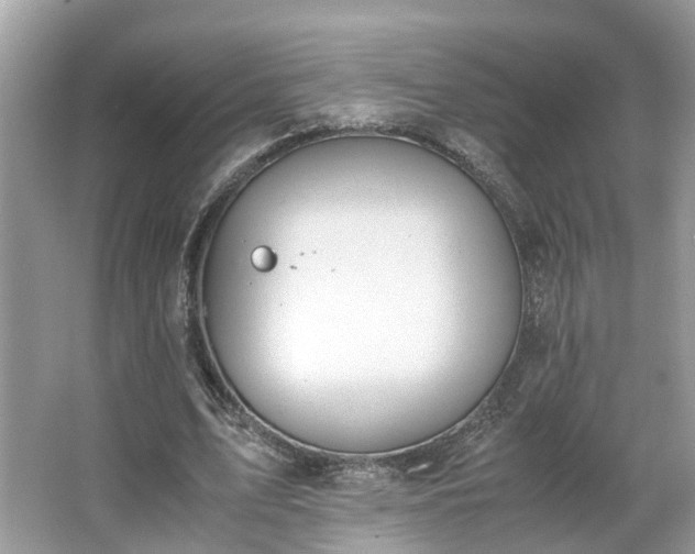 X0000063460583200601231420