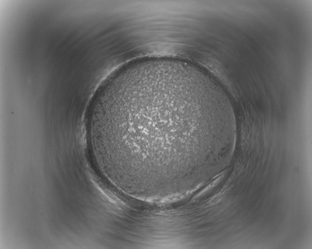 X0000063460584200601231420