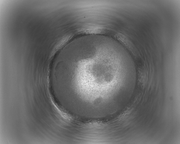 X0000063460586200601231420