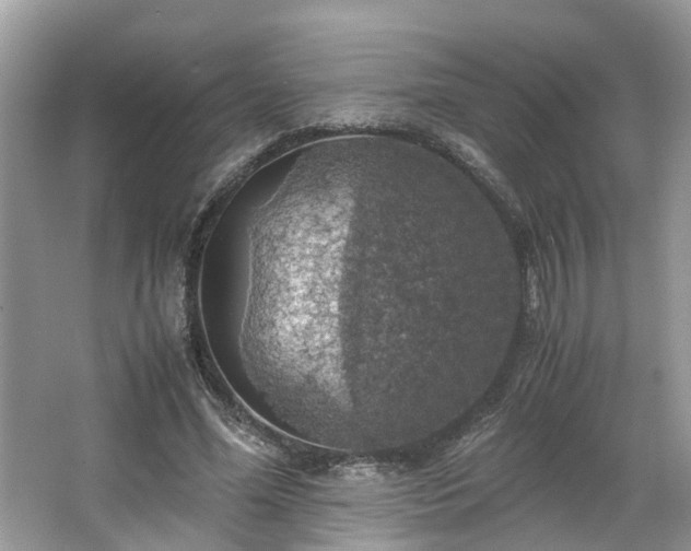 X0000063460588200601231420