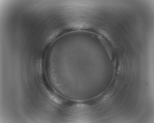 X0000063460590200601231420