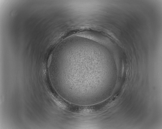 X0000063460593200601231420