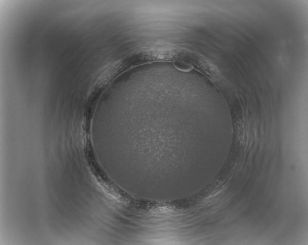 X0000063460594200601231420