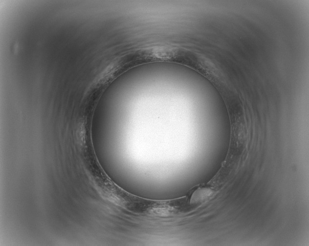 X0000063460595200601231420