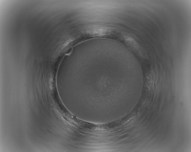 X0000063460596200601231420