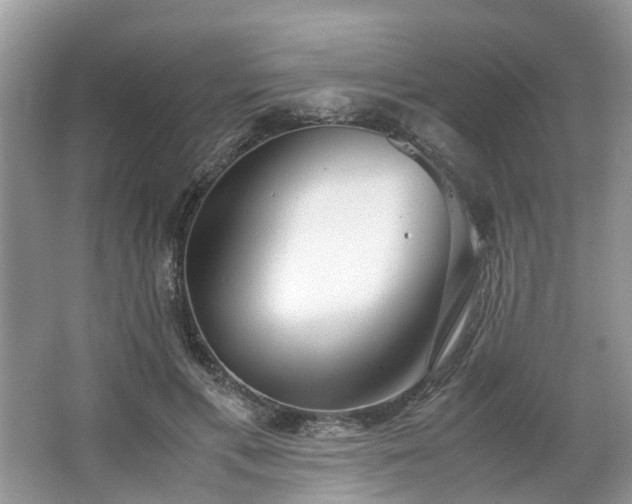 X0000063460597200601231420