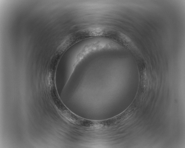 X0000063460598200601231420