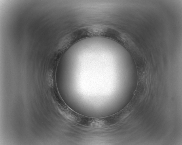 X0000063460599200601231420