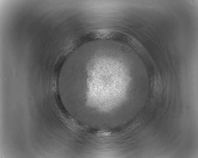 X0000063460602200601231420