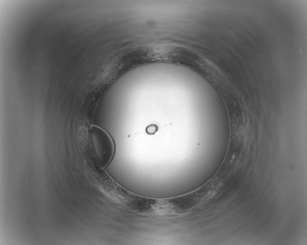 X0000063460603200601231420