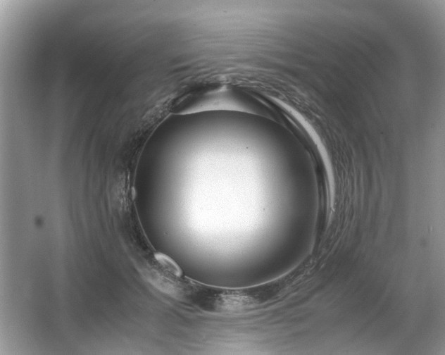 X0000063460605200601231420