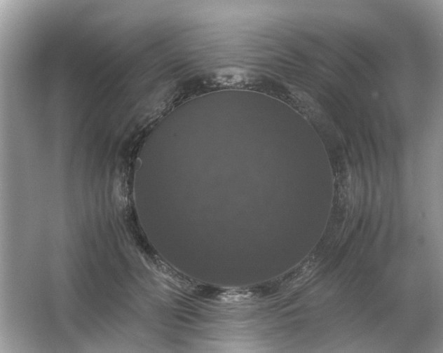 X0000063460606200601231420