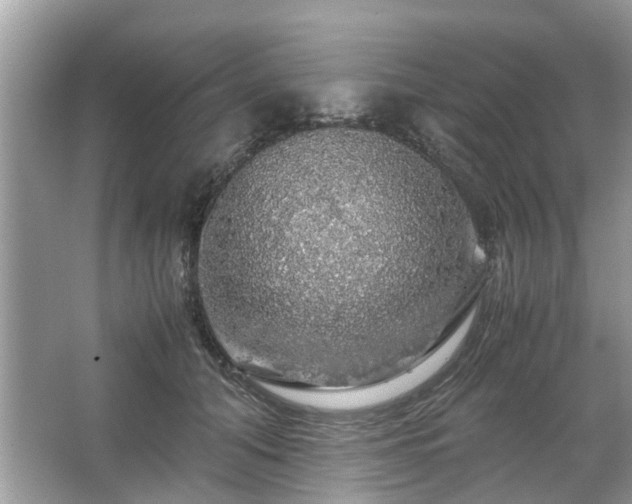 X0000063460608200601231420