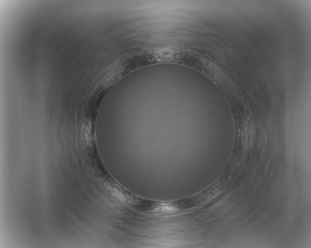 X0000063460610200601231420