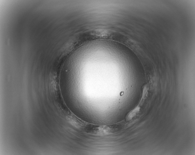 X0000063460612200601231420