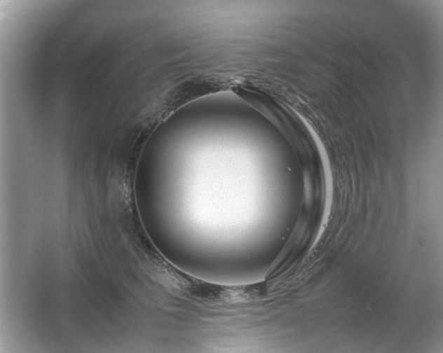 X0000063460613200601231420