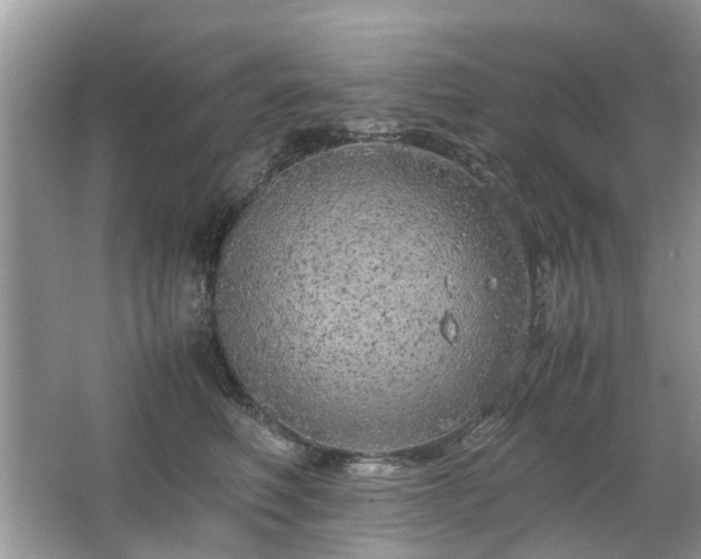 X0000063460614200601231420