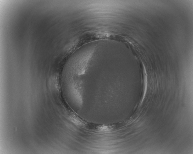 X0000063460616200601231420