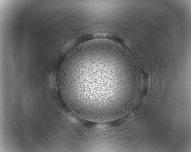 X0000063460619200601231420