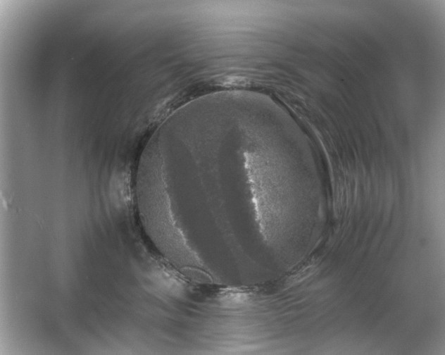 X0000063460620200601231420