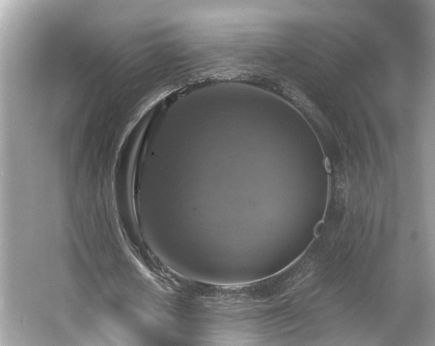 X0000063460626200601231419