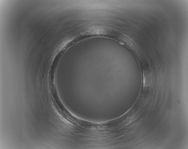 X0000063460627200601231419