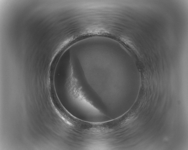 X0000063460630200601231419