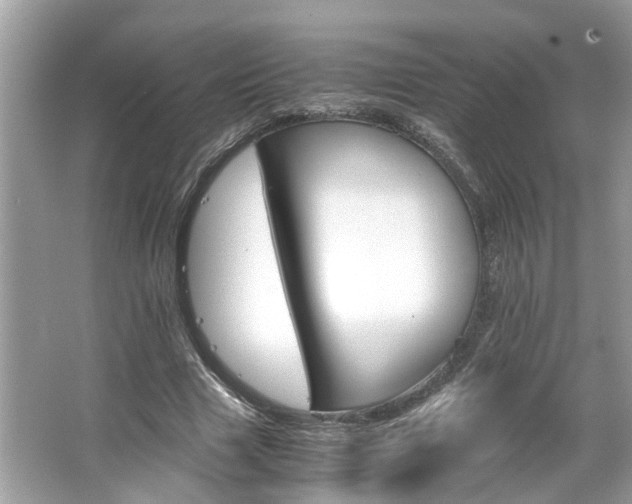 X0000063460633200601231419