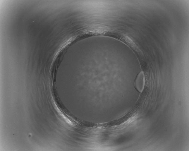 X0000063460634200601231419