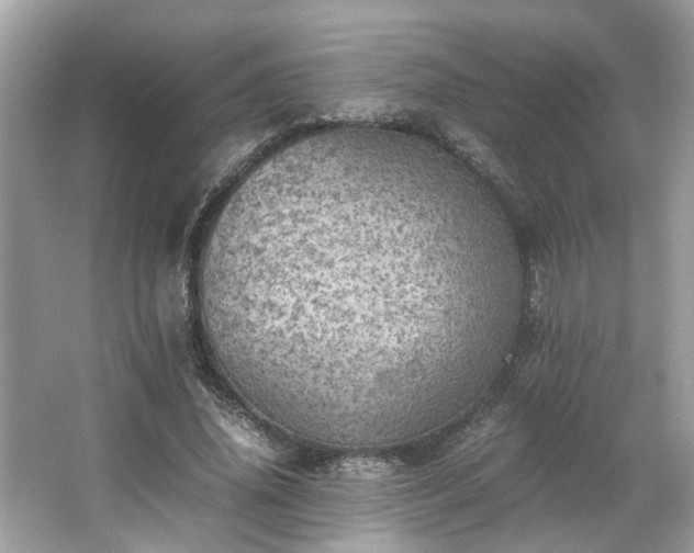 X0000063460636200601231419