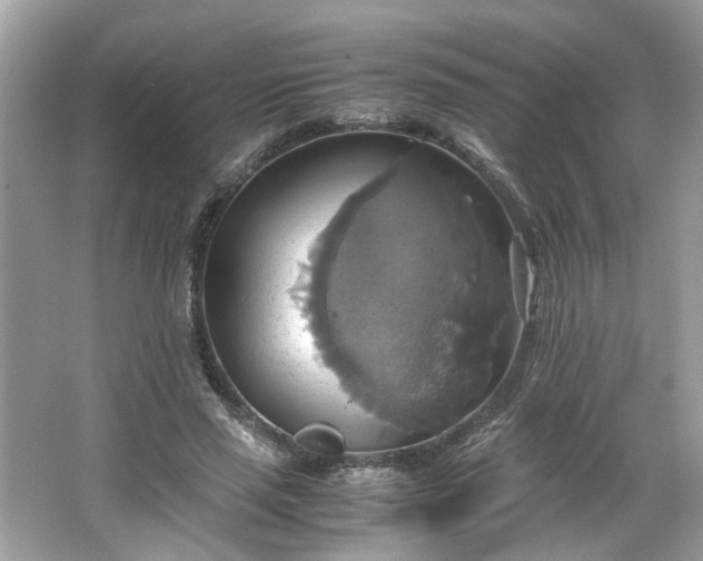 X0000063460637200601231419