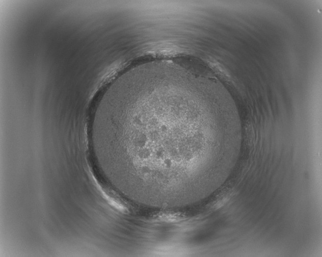 X0000063460638200601231419